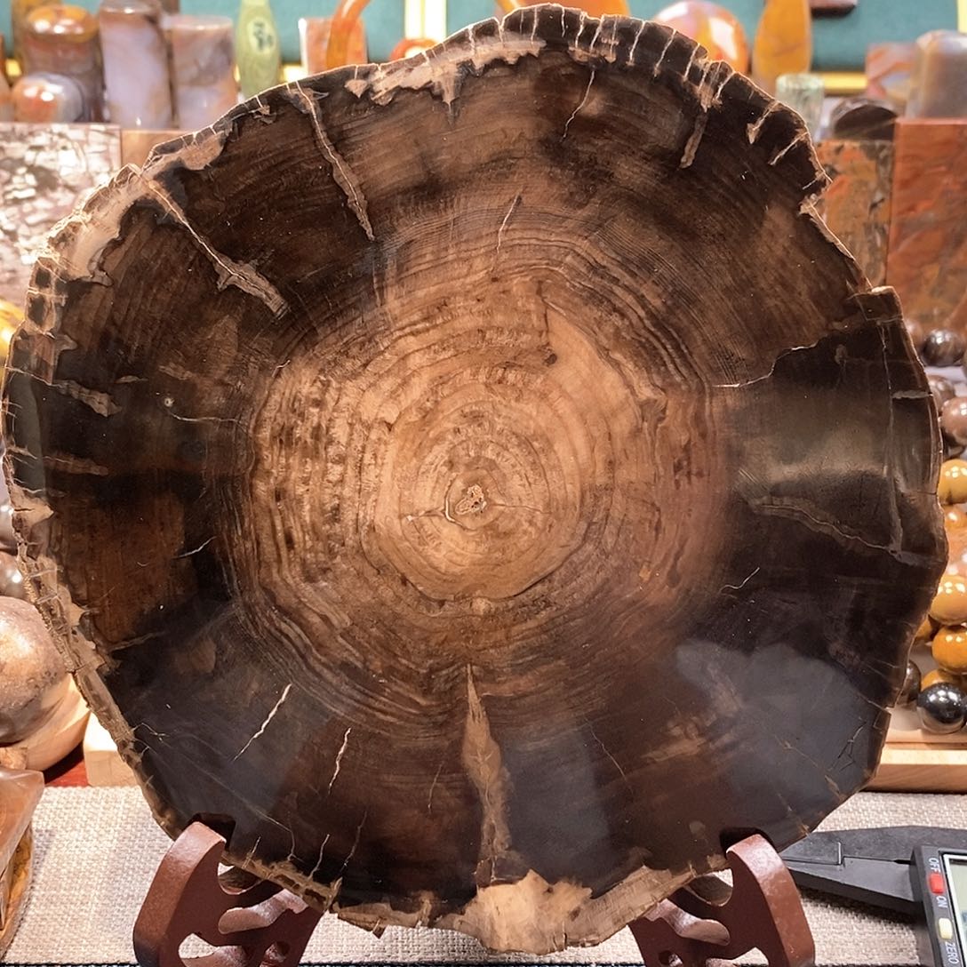 硅化玉天然北票硅化玉原石未镶嵌天然北票硅化玉原石