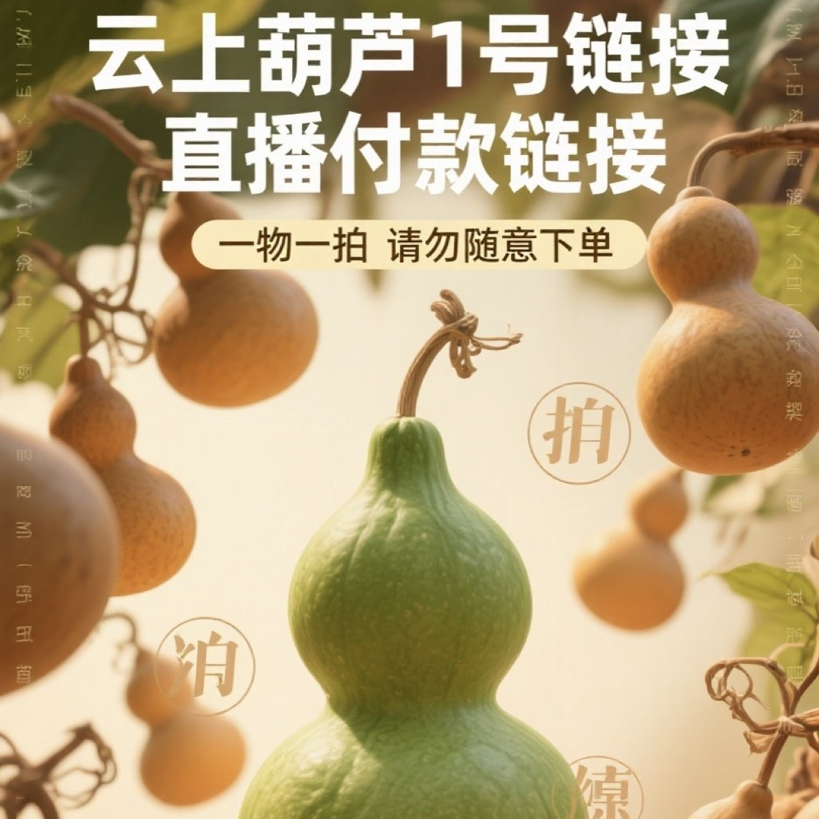直播间一葫一拍精品葫芦