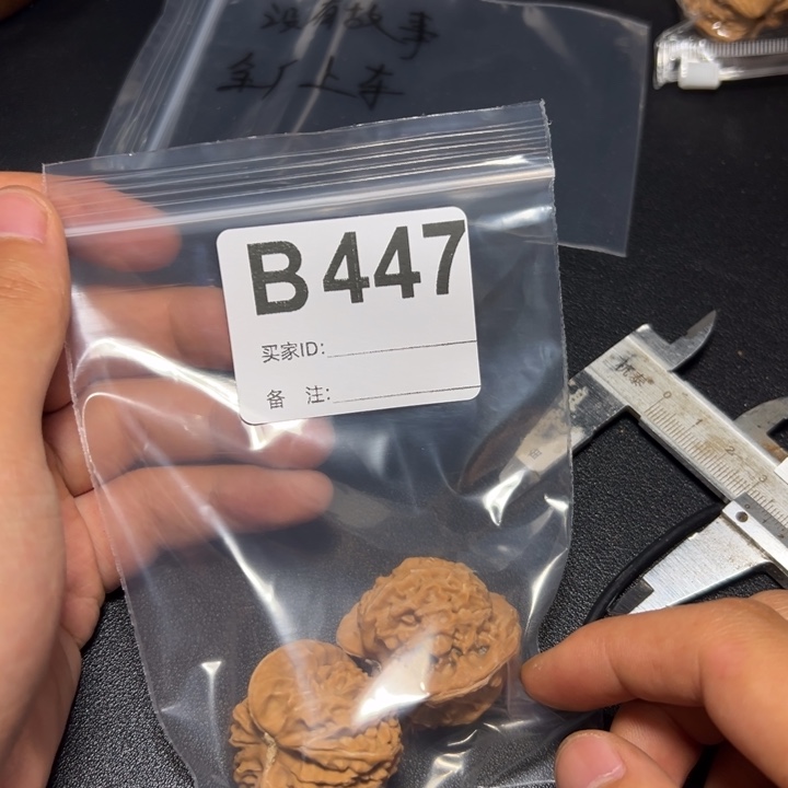 哈哈哈哈我的小可爱