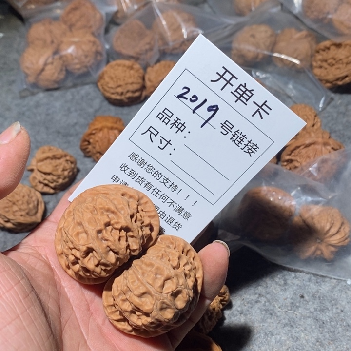 文玩核桃把件小**学2019个咯摸摸哦哦哦哦