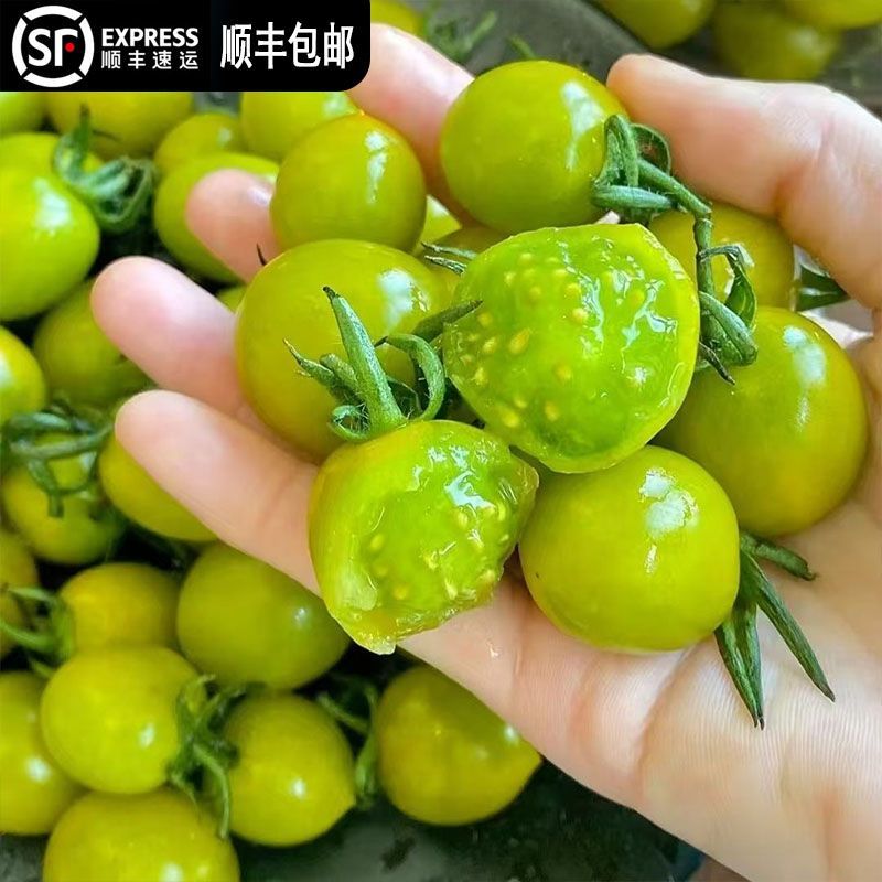 「果农自营」青甜2号绿色小番茄皮薄多汁脆甜可口产地直发新鲜水果