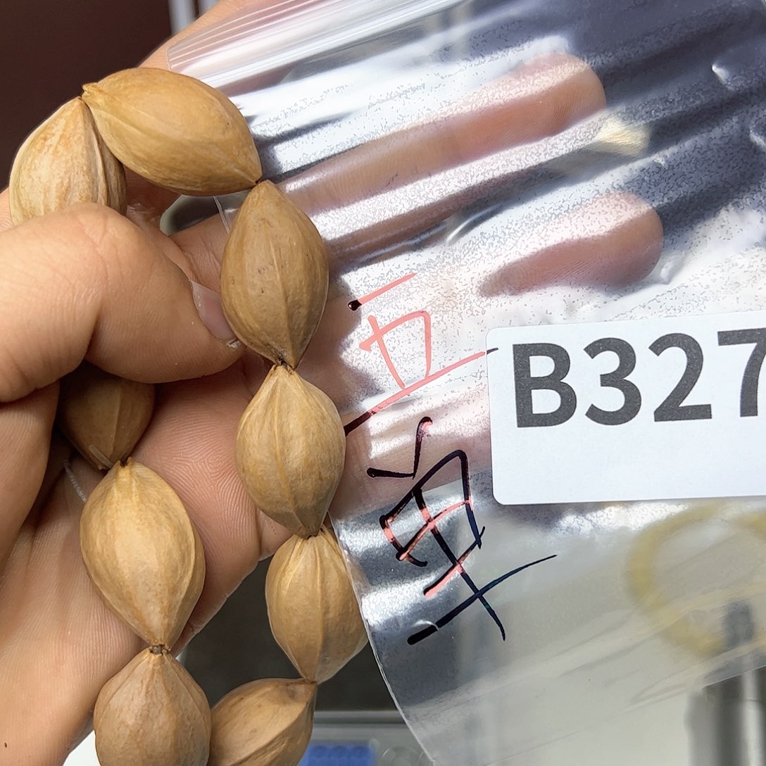 猴头核桃吊坠福利 b321 号