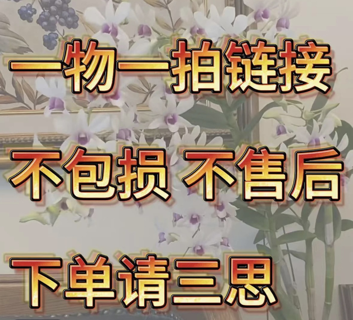 秋石斛花色多样品种繁多爆花易种绿植万代兰石斛兰秋石斛一物一拍