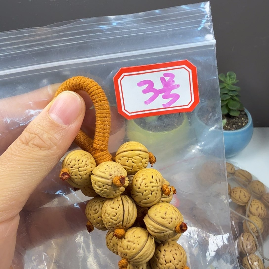 3号盘锦野生奶油核葡萄