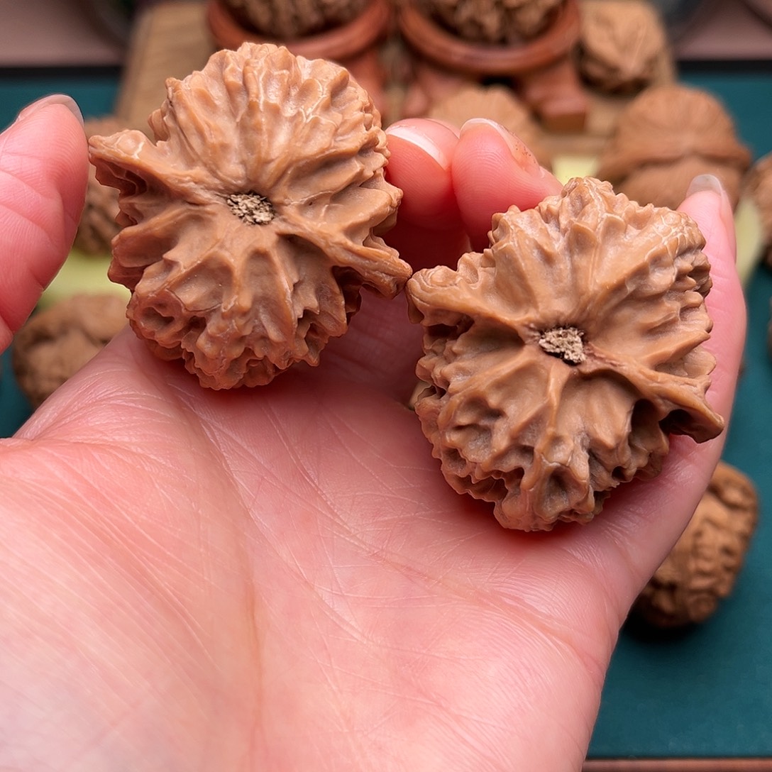 文玩核桃把件苹果园