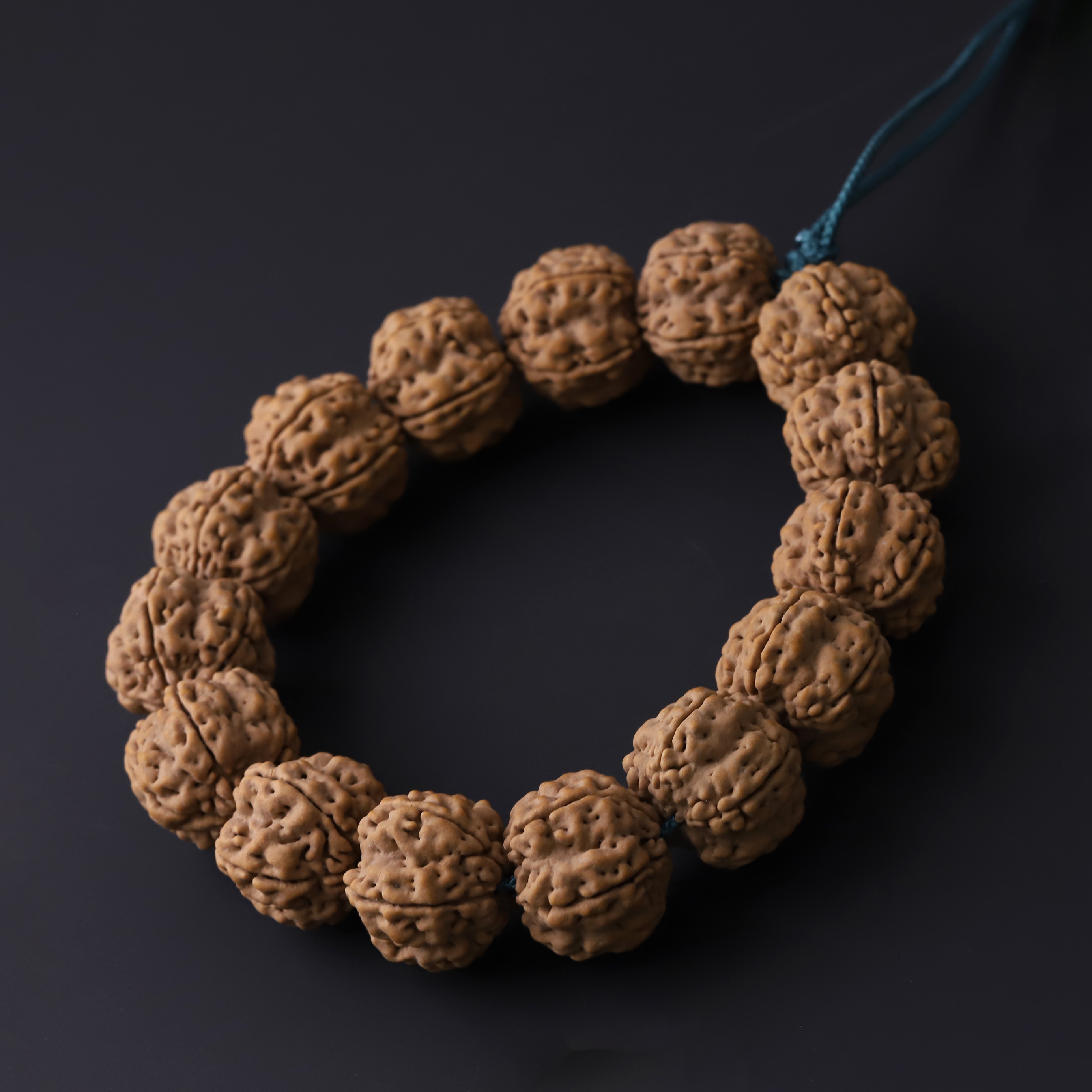 251198 精品帝王花单圈金刚菩提