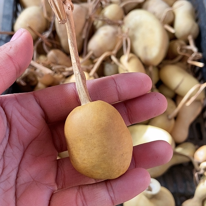 美**剧nnnnnnnnnnnnn