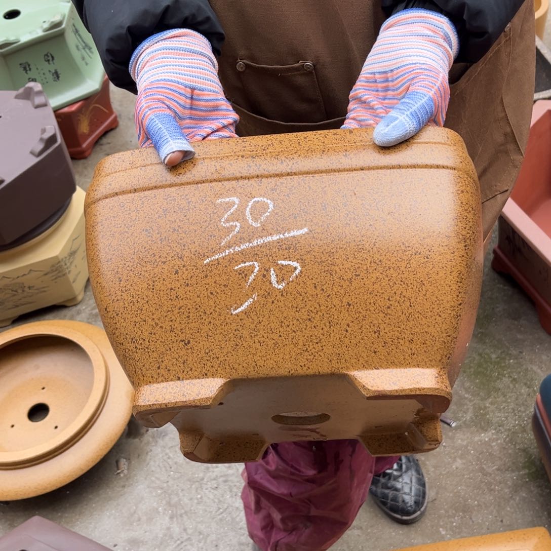 紫砂花盆盆景艺术