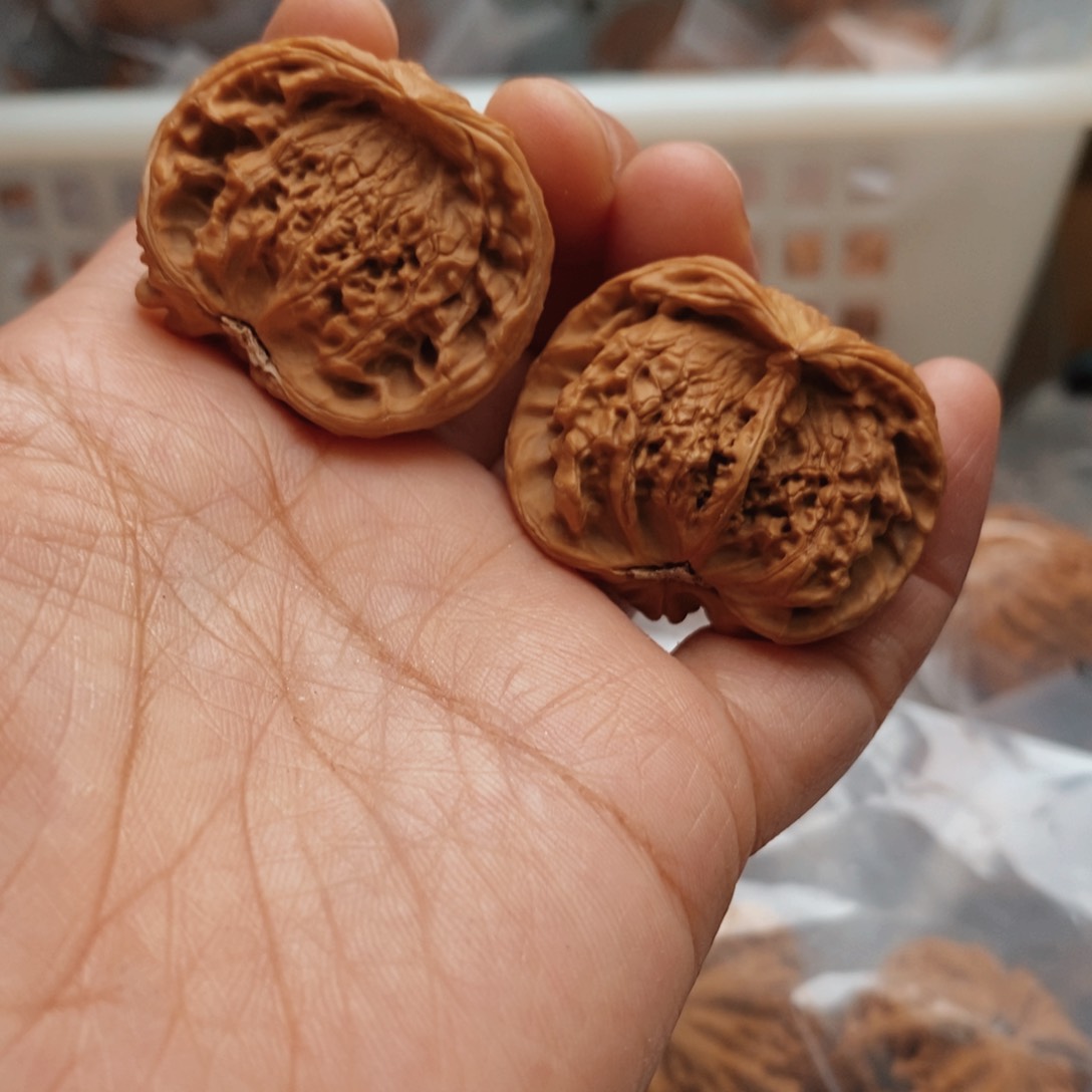 文玩核桃把件宫灯蛇35尺