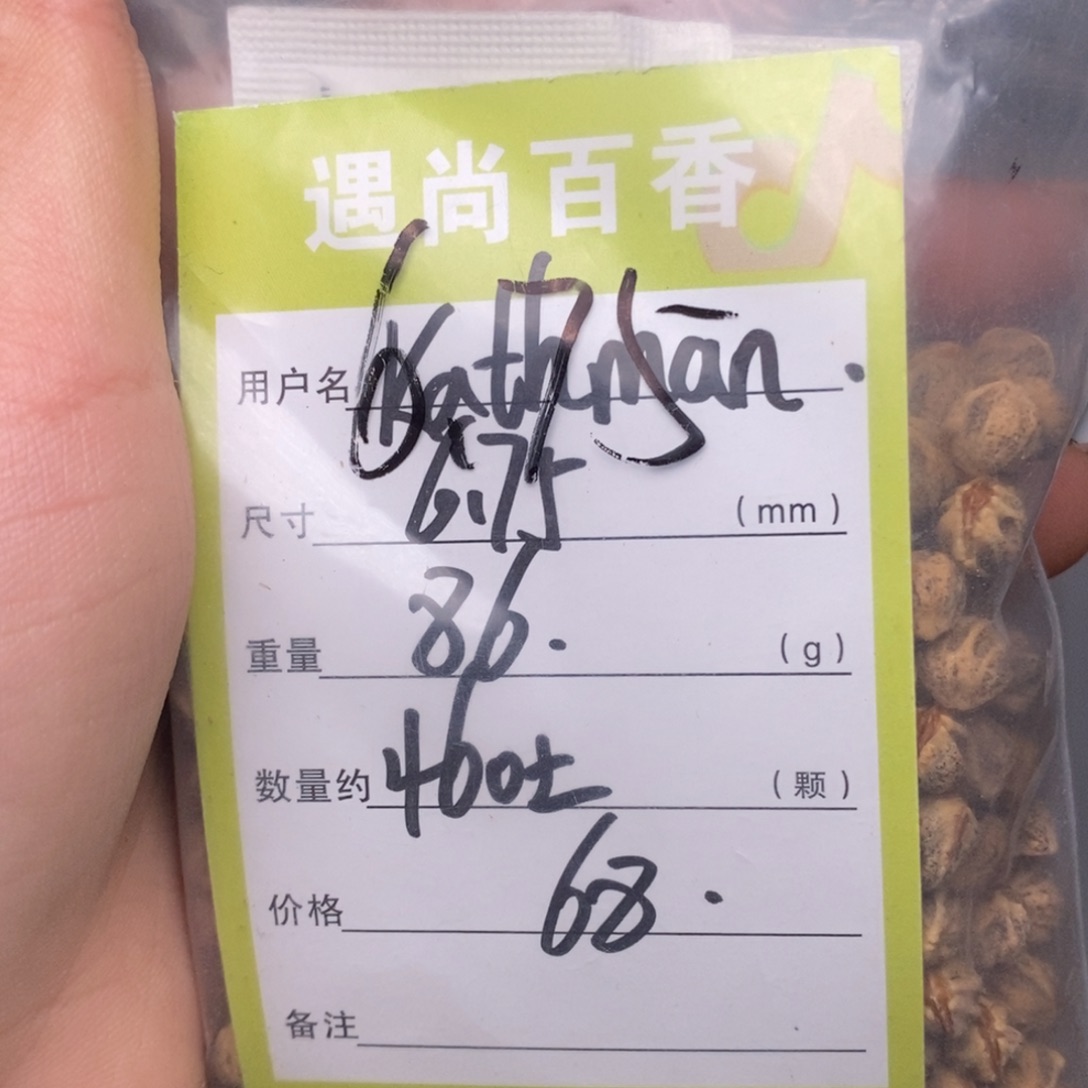 K***9柏香籽/百香籽吊坠