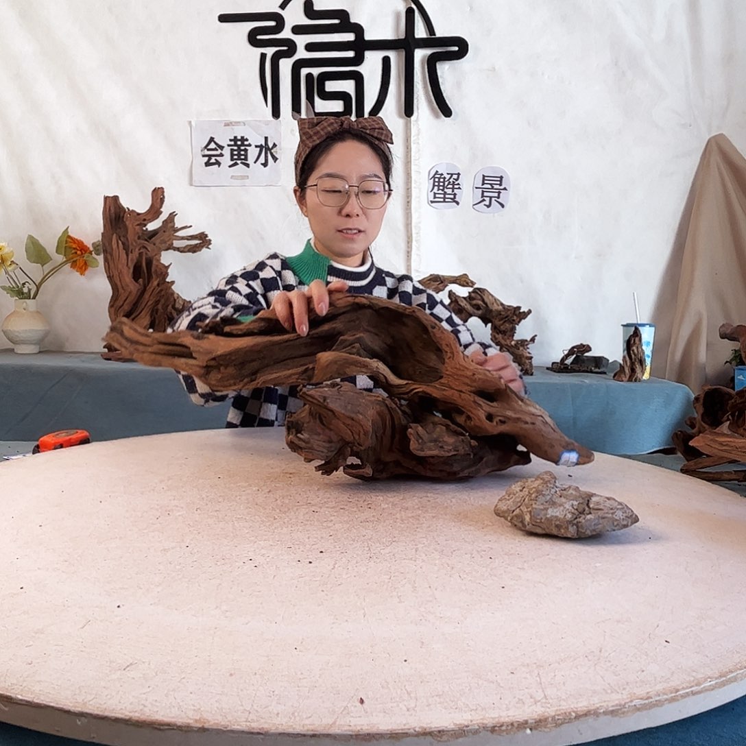 周末福利爬宠造景