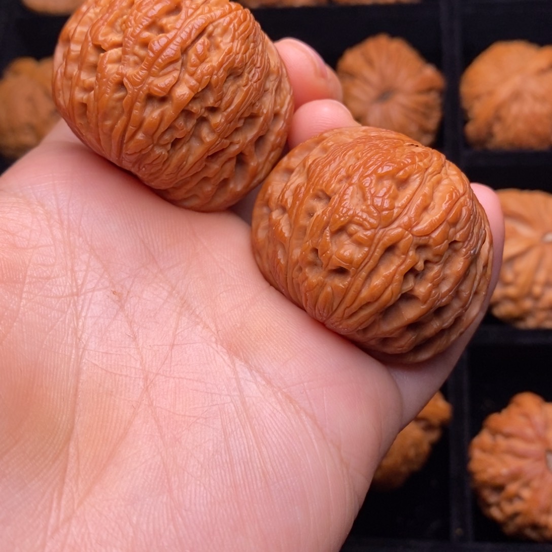 文玩核桃把件秦岭野生核桃