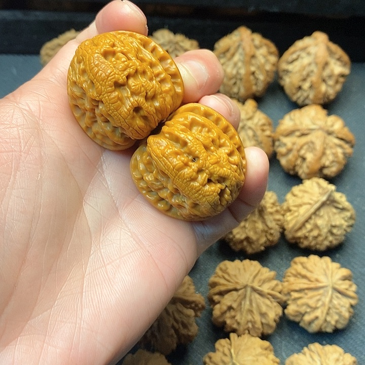 我是一只小小鸟地域鬼的