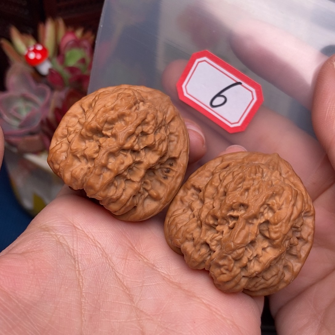 文玩核桃吊坠6号 古蝉