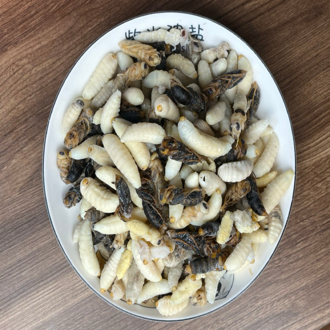 虎头蜂统货大统货高蛋白营养丰富顺丰包邮