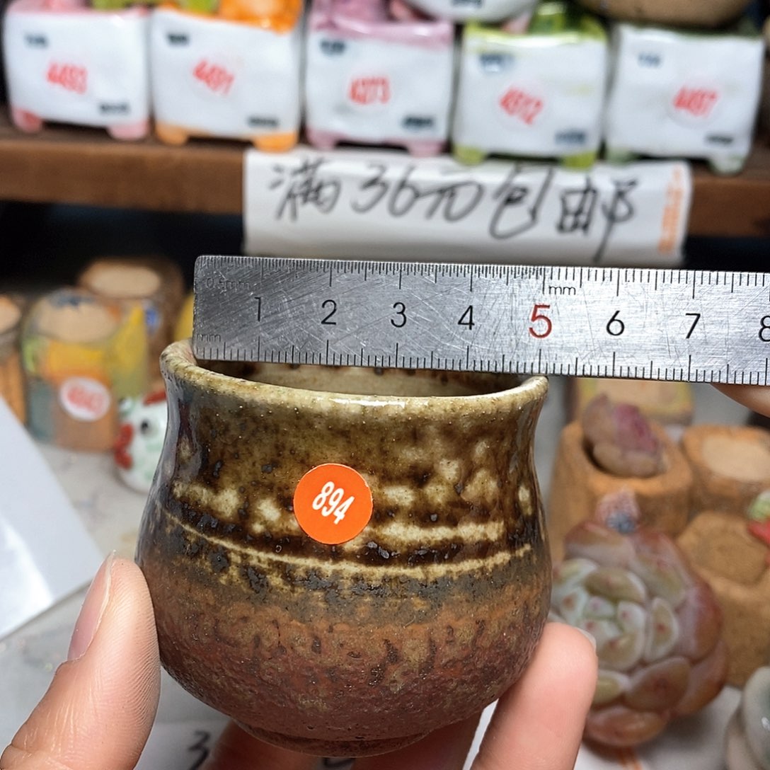 红陶拍5送一个小