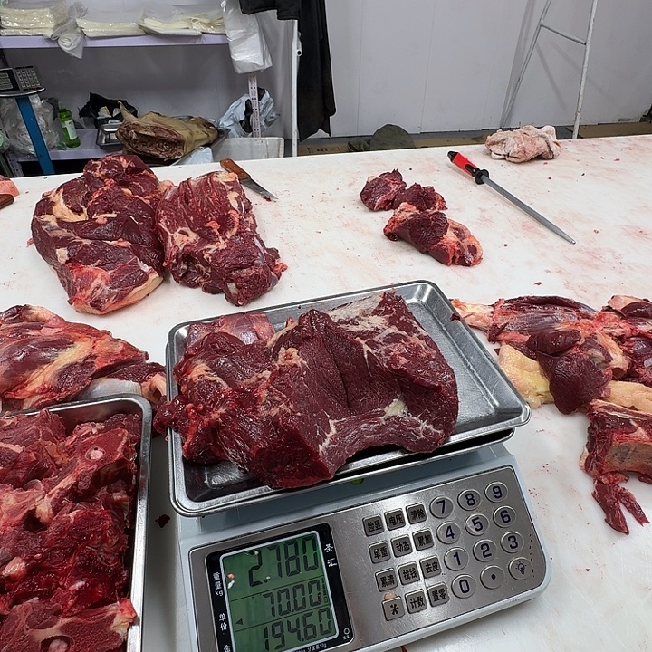 12个月中国大陆马胸口雪花