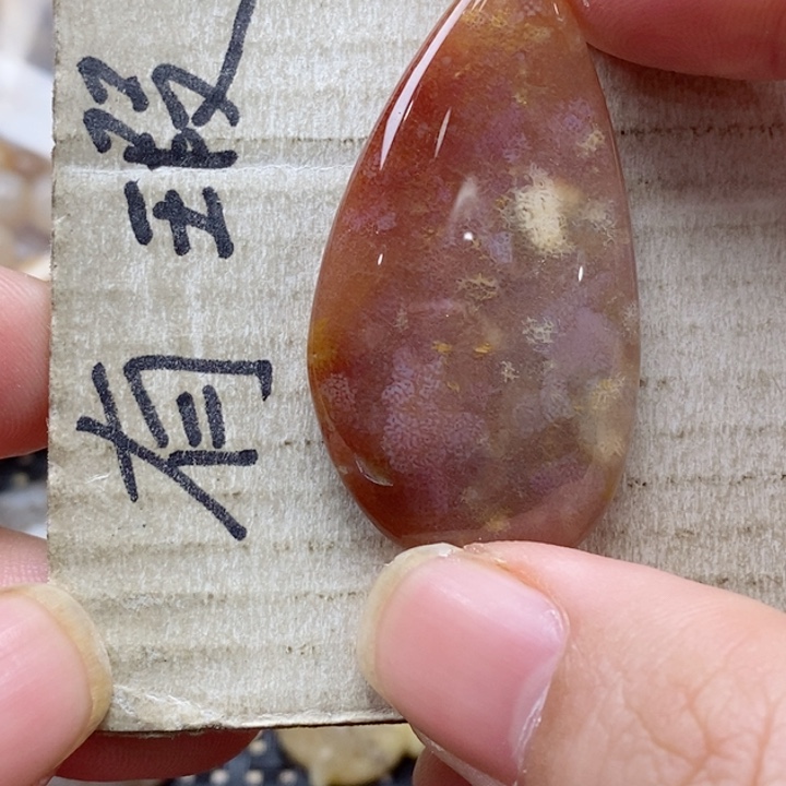 硅化珊瑚（珊瑚玉）颈饰未镶嵌