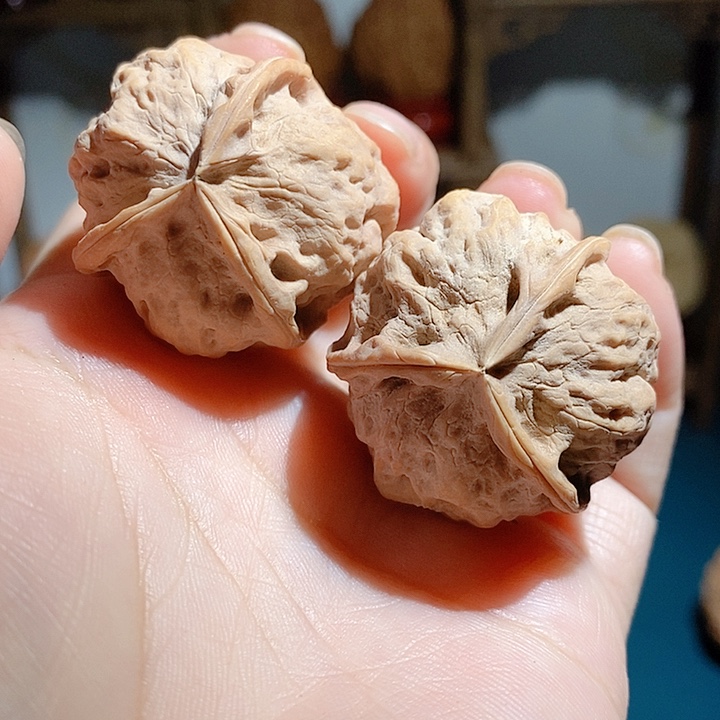 野生云南铁核桃三棱33