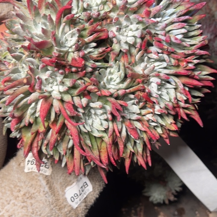 086哈哈哈哈哈哈哈哈哈