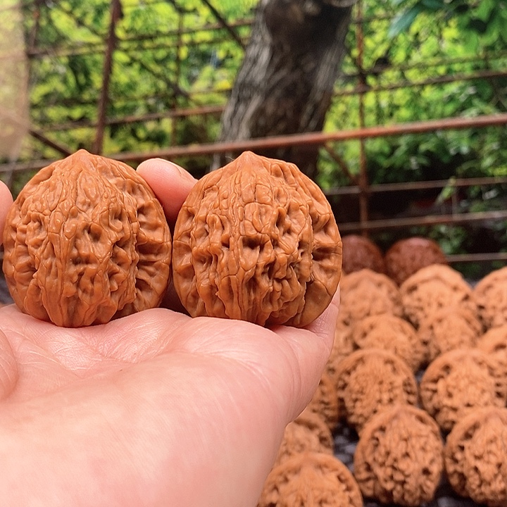 王***磊银S925百年老树堂虎核桃