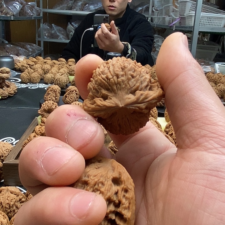 E***c大叶紫檀（黑酸枝木类）南疆