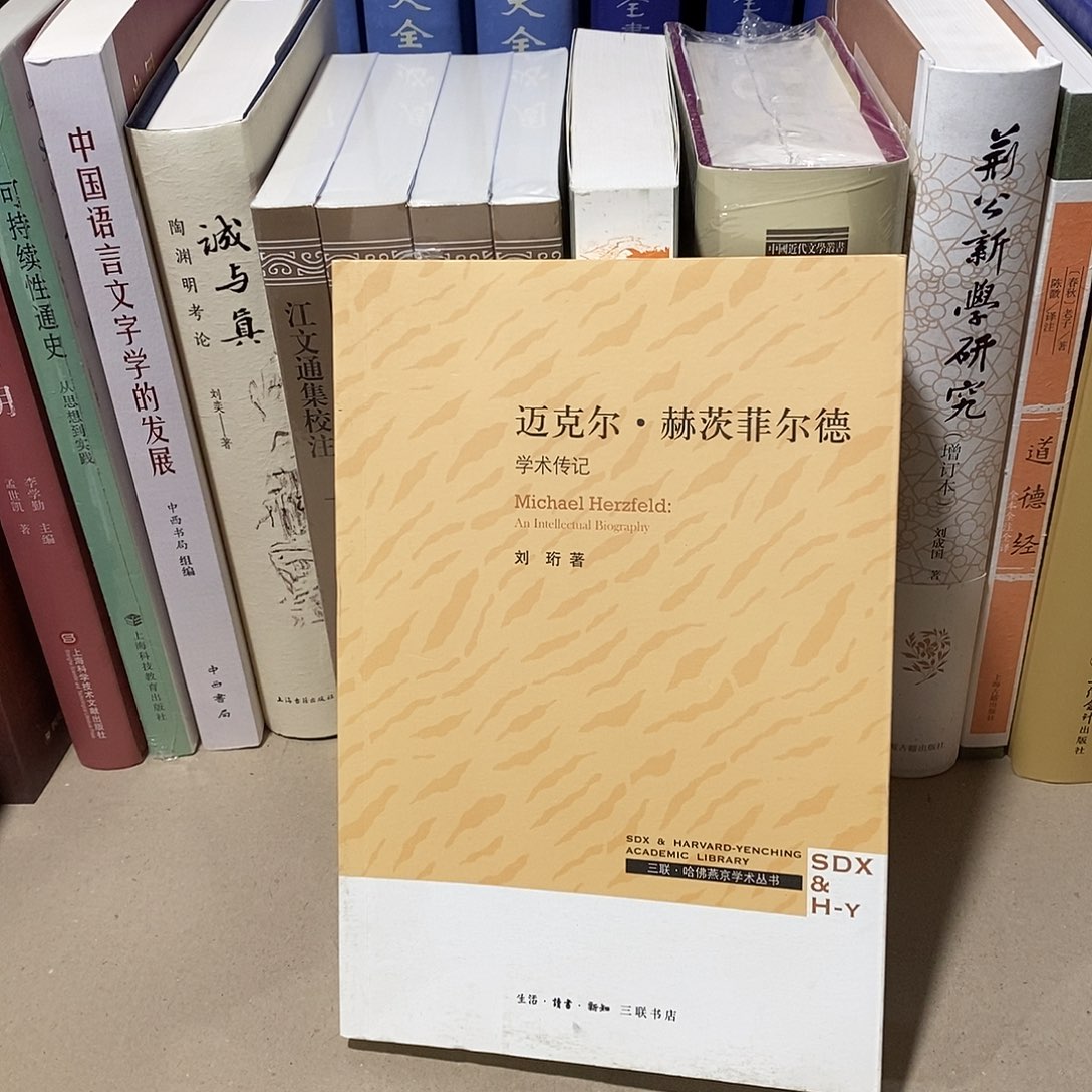 迈克尔  学术传记       