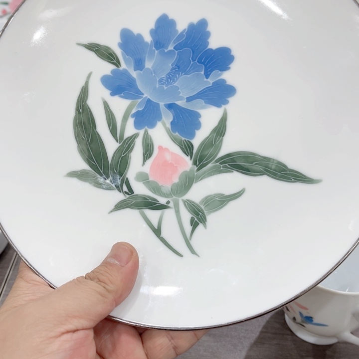 碟釉下五彩的瓷器和瓷器