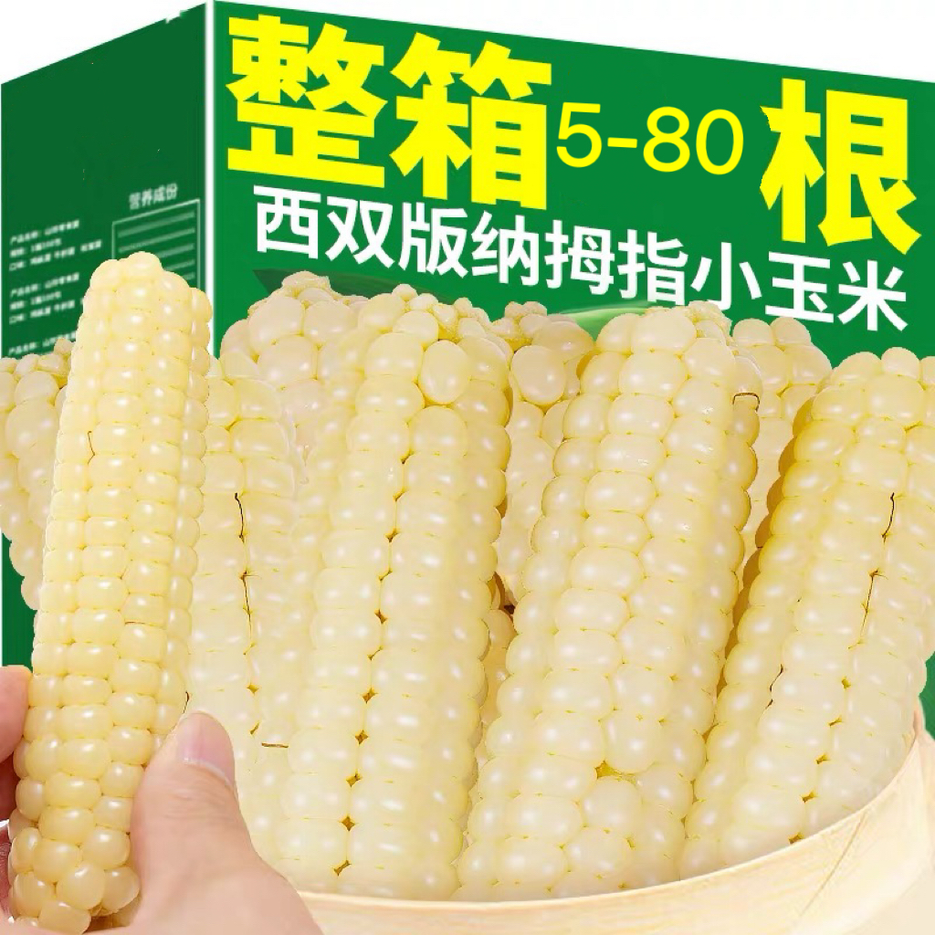 云南西双版纳拇指玉米新鲜真空包装即食香糯玉米香糯小玉米农家