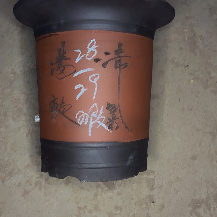 红陶紫砂工艺厂……紫砂工艺厂