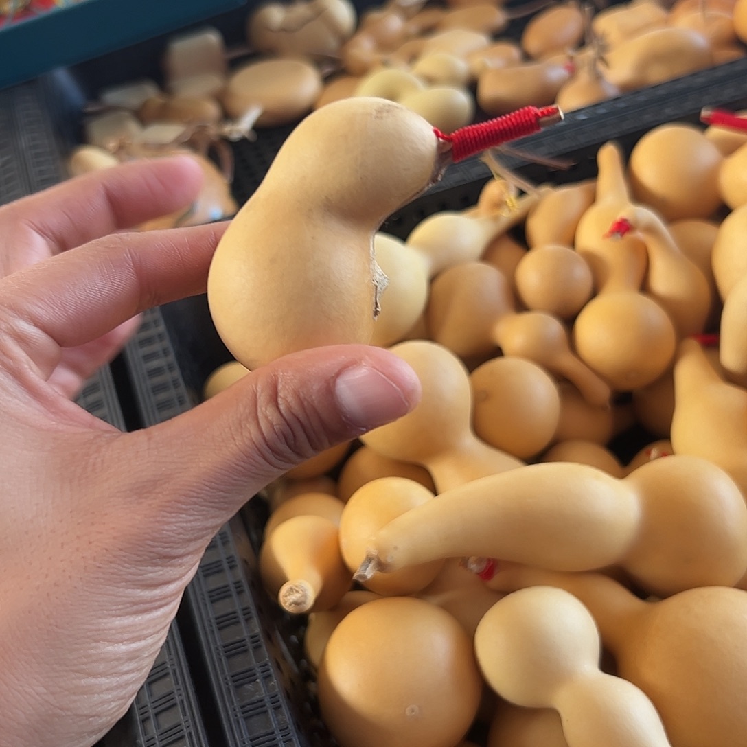 小猪佩奇葫芦葫芦