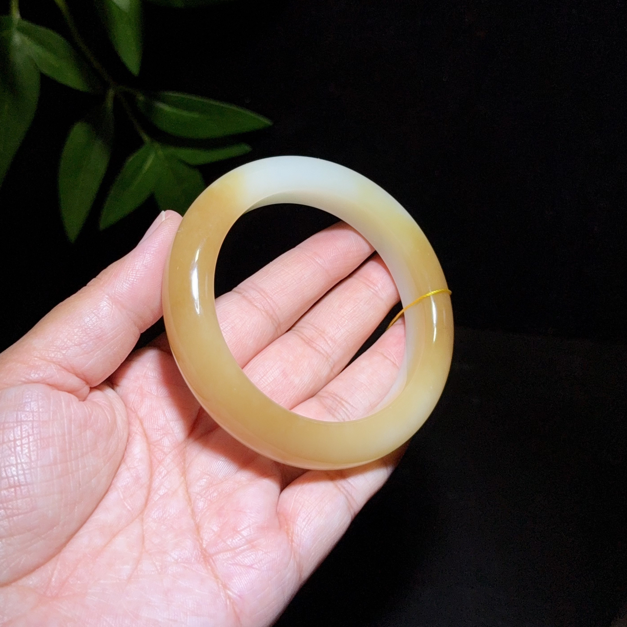 新疆且末糖白手镯老坑料～61圈口