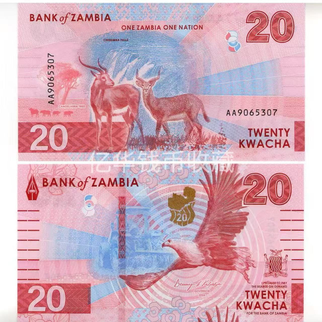 【非洲】赞比亚 20克瓦查 动物版 外国钱币收藏全新保真