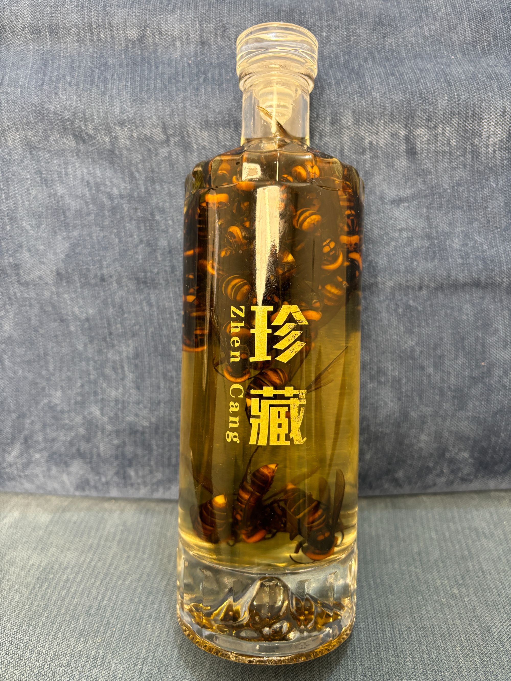 野生活泡金环一年装30只蜂带一斤诱蜂水虎头蜂酒