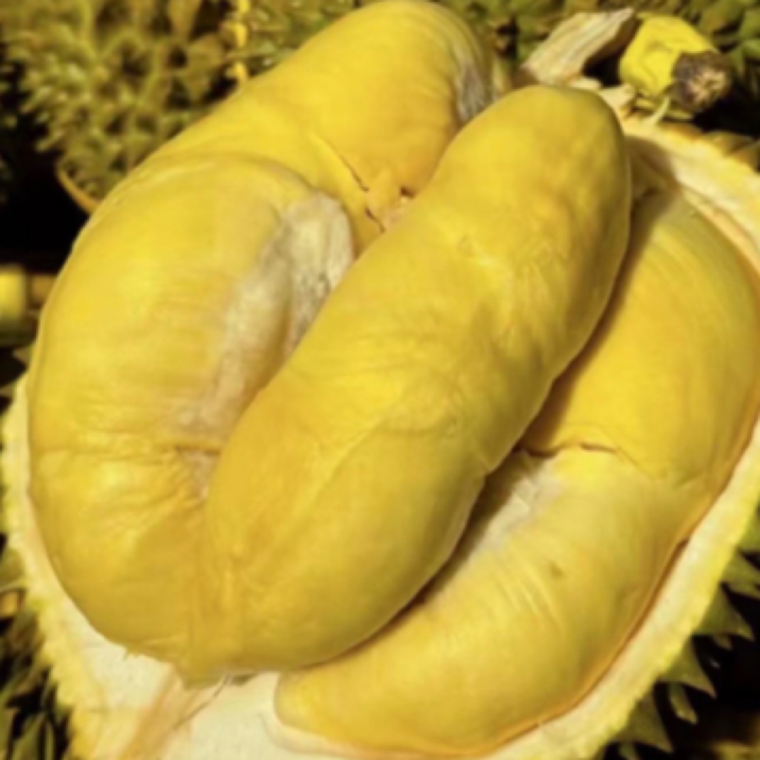 小时达金枕榴莲/泰国/7-8斤新鲜整果核小（同城）金枕泰国金枕泰国东部