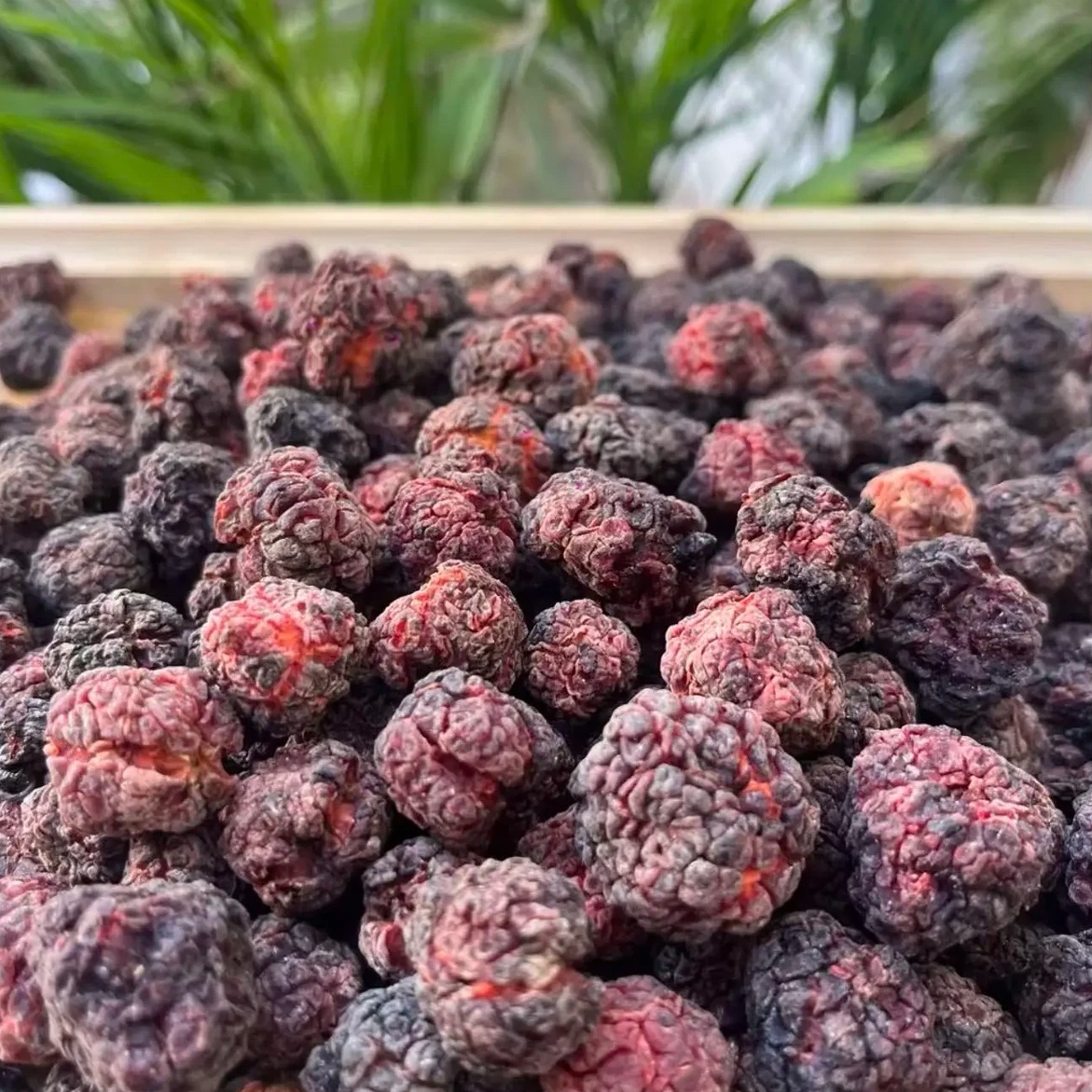 云南高山冻干帝王果核心产区