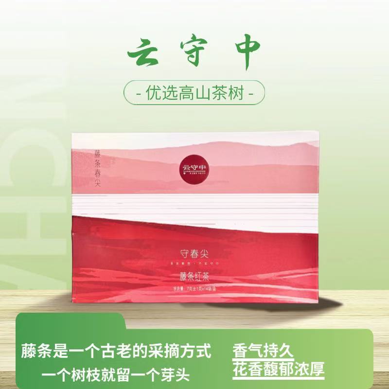 （到手10盒） 守春尖 藤条春尖  红茶98g/盒（7g*14袋）