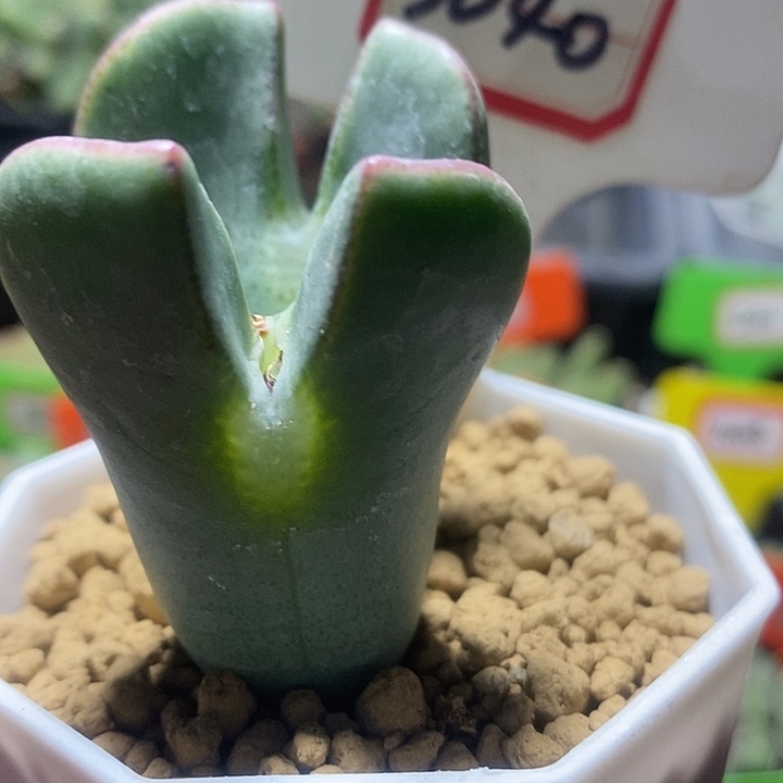 这种事真的不能跟她3040