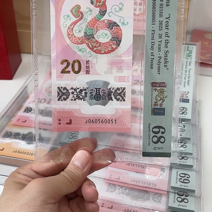 塑料蛇钞-0051——————