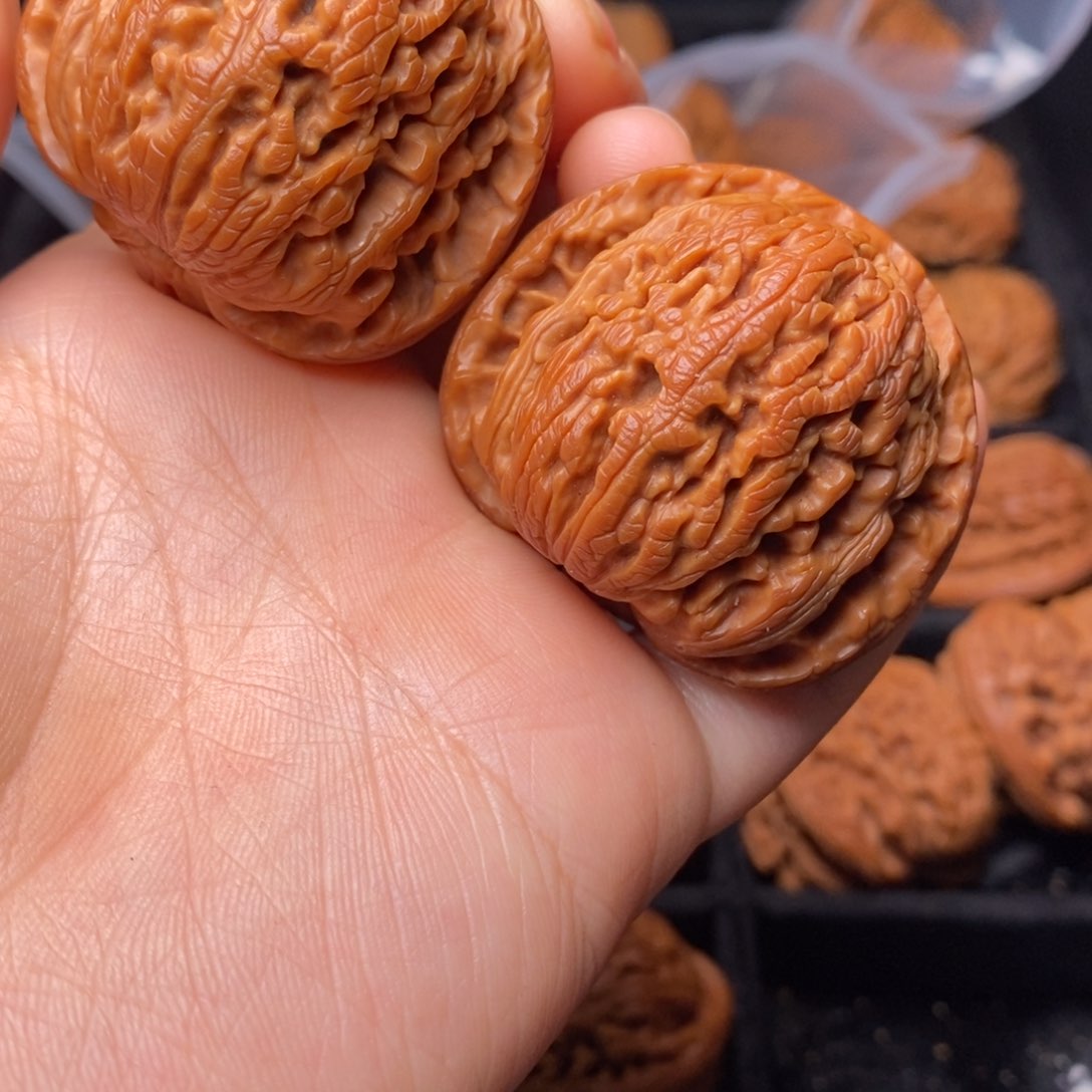 文玩核桃把件秦岭野生核桃