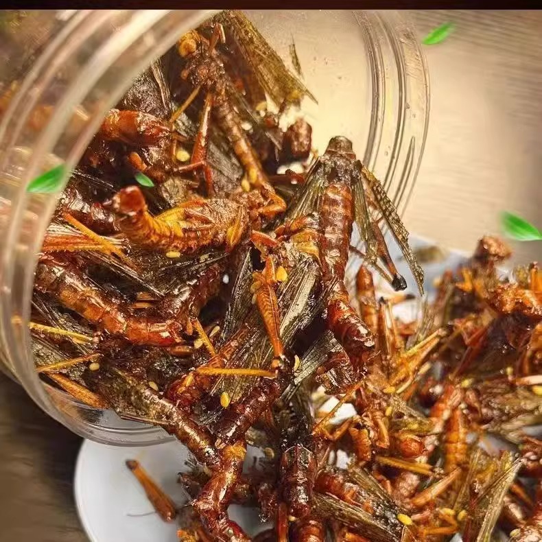 新鲜现做油炸蚂蚱即食零食蝗虫香辣五香小吃昆虫美食下酒瓶装罐装