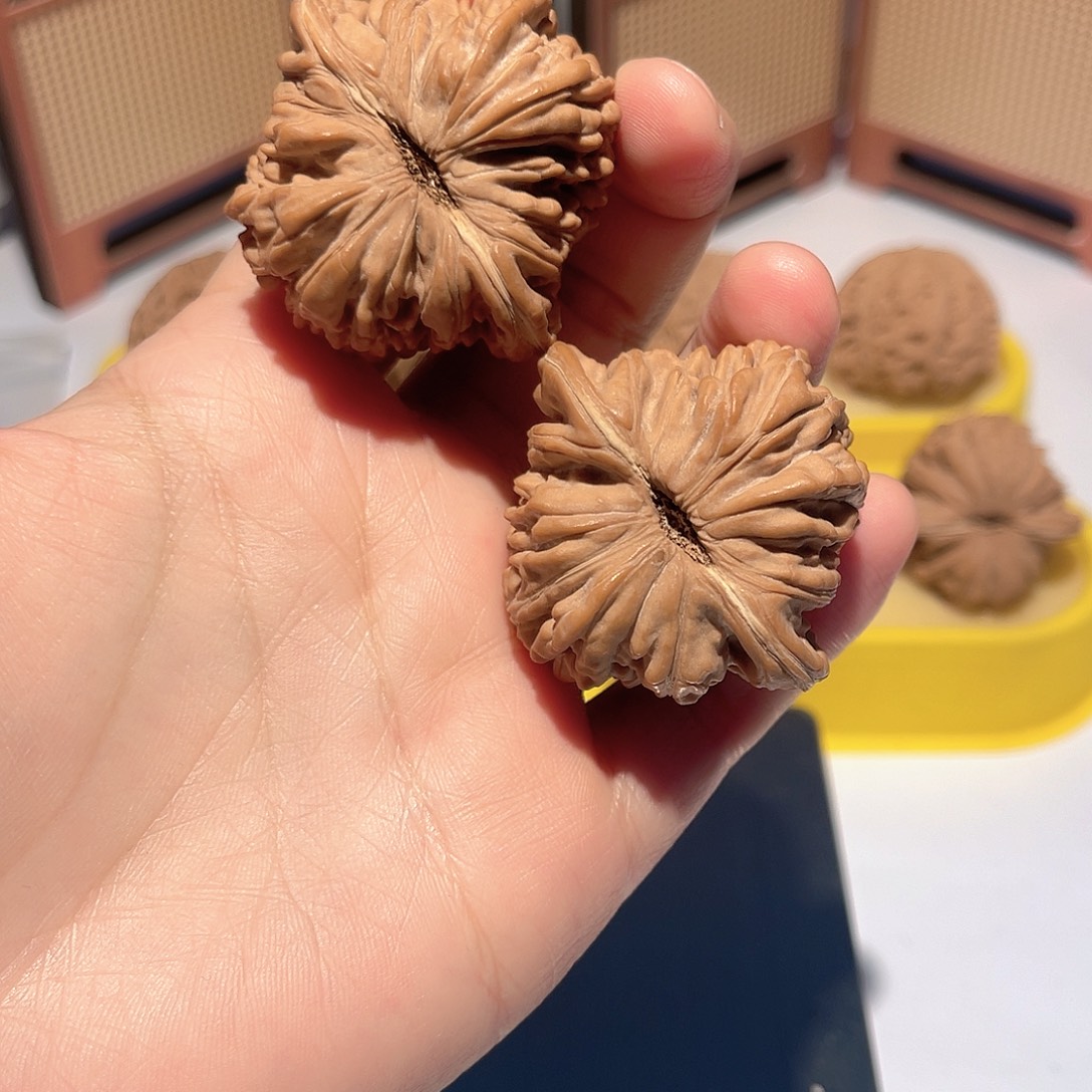 F***泽核桃45全品四座楼