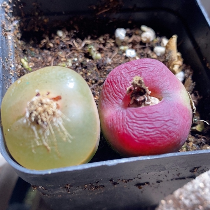 26236一组一组一组