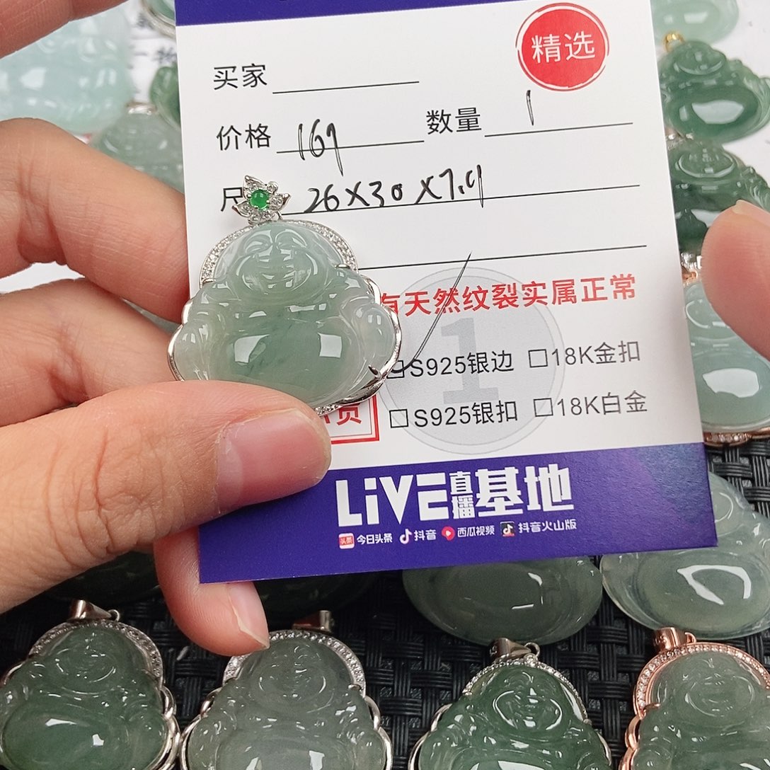 翡翠银S925镶嵌颈饰