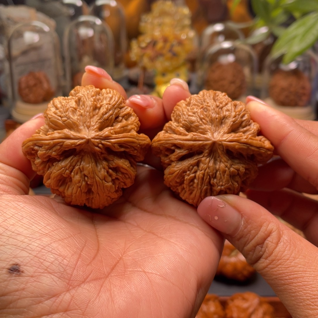 文玩核桃把件粗筋48