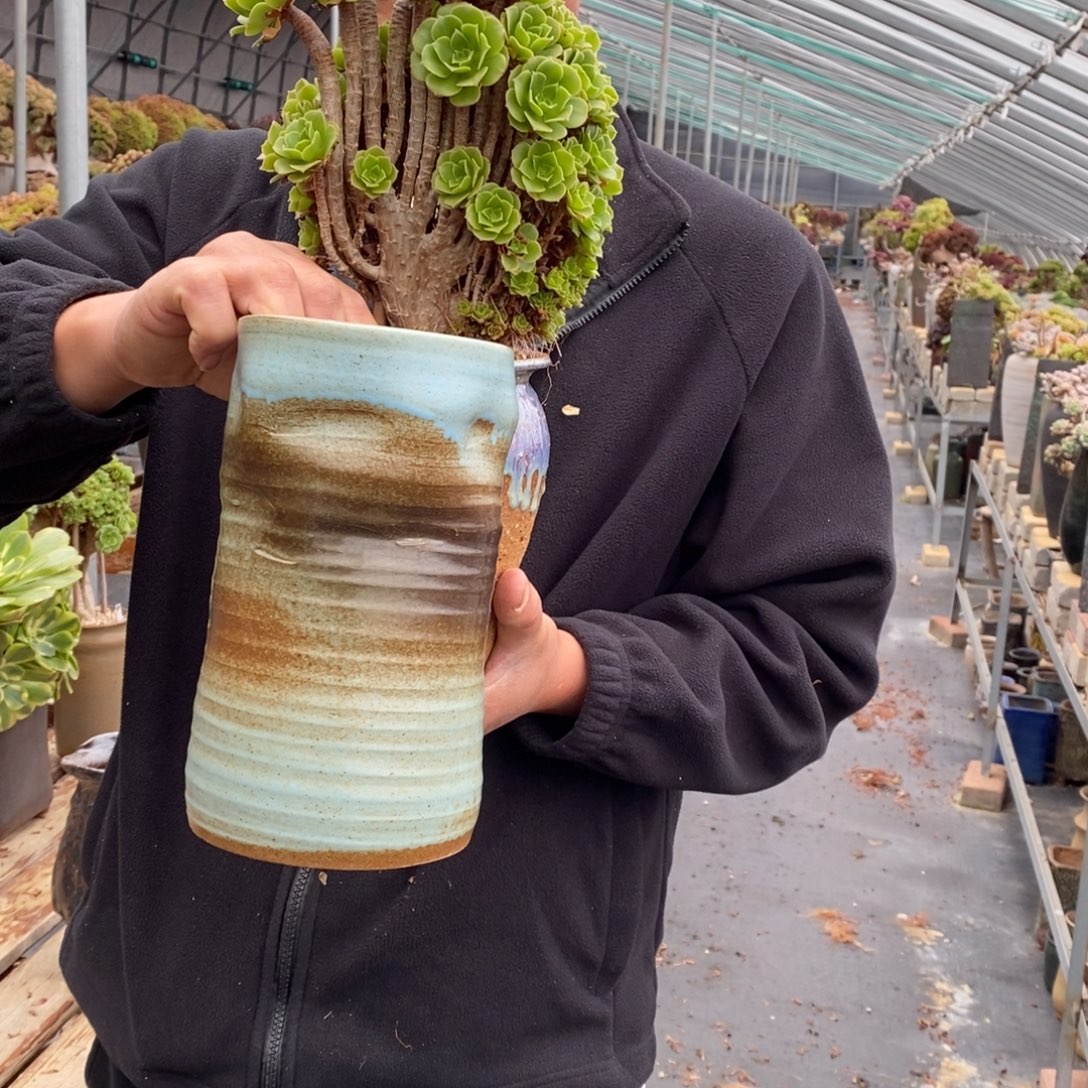 3***O盆一个景德镇手工盆