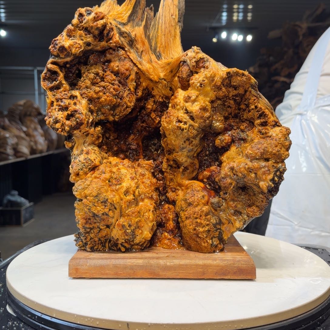 雪***兔木王一刀琥珀木摆件13