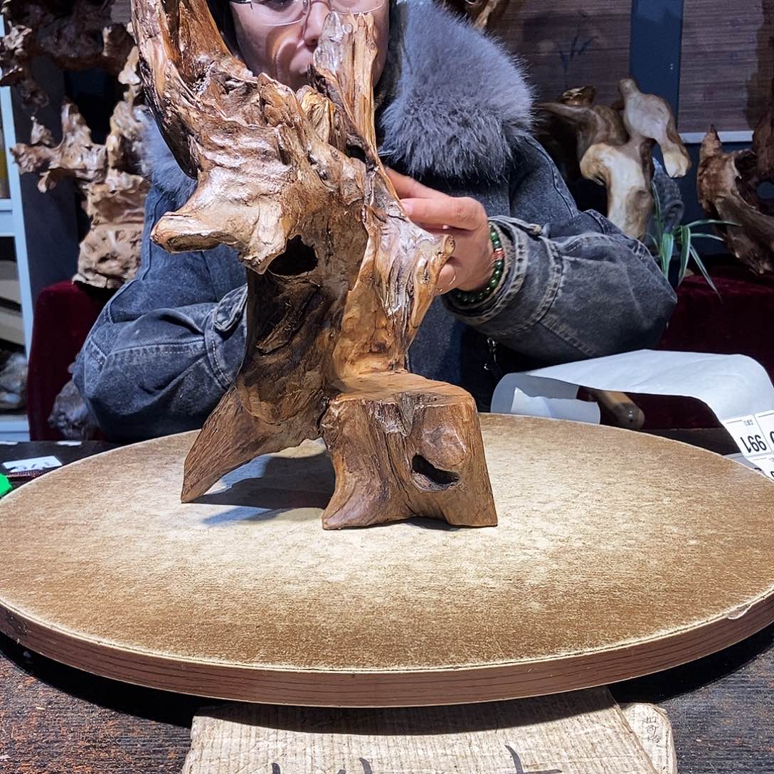 李***平989。株木随行根艺