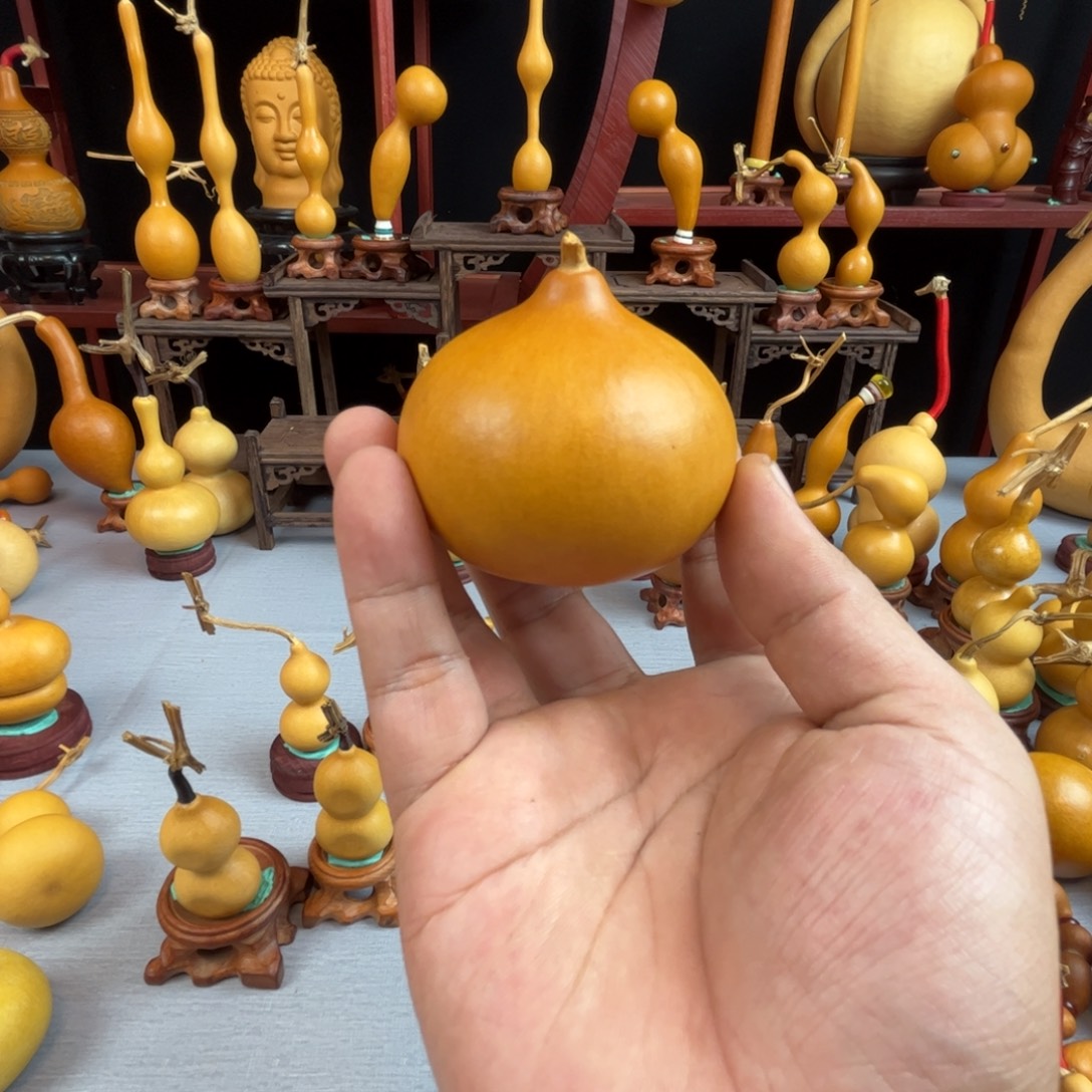 二***.藤木我的小可爱，一点也不像个女孩