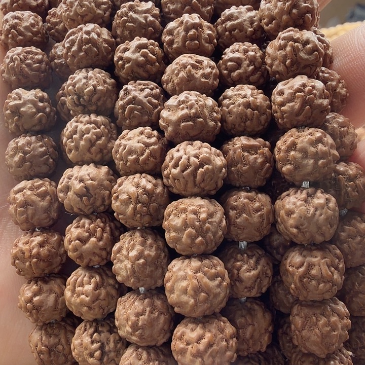 金刚菩提吊坠0瓣小梅花9.5-10